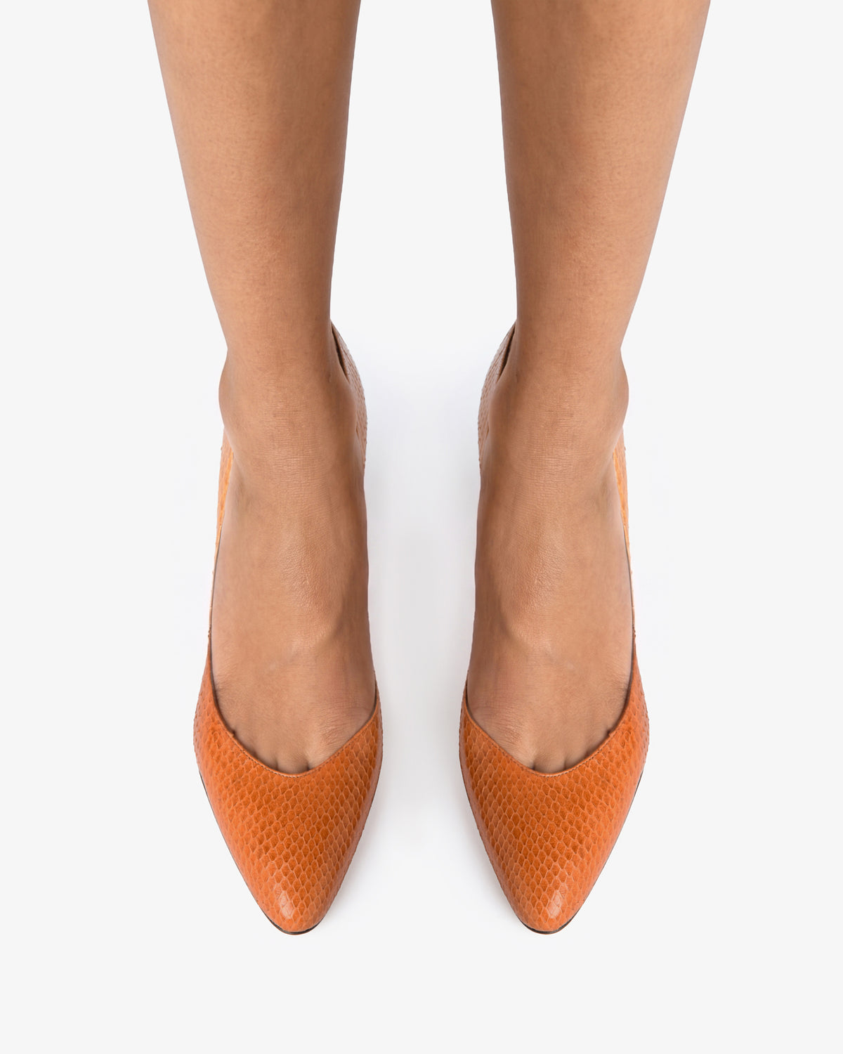 All Tan Python Haze Pump Tan Python Leather – JUDE